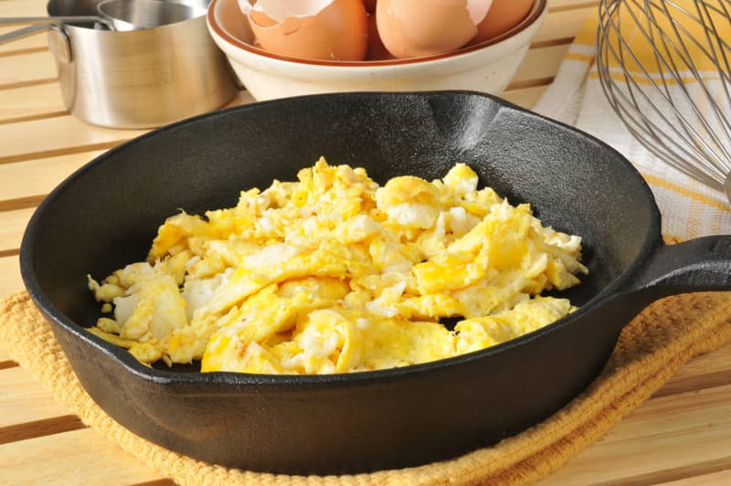 dogs eat scrambled eggs