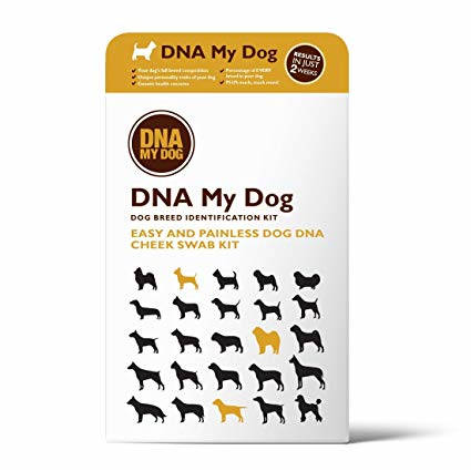dna my dog reviews