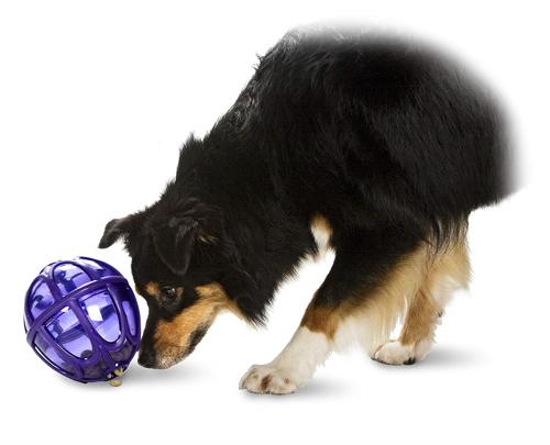 best dog puzzle toys