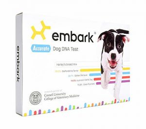 Embark dog dna test review