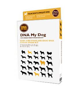 dna my dog reviews