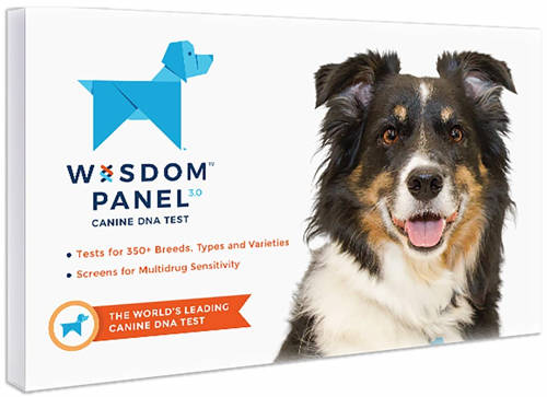 wisdom-panel