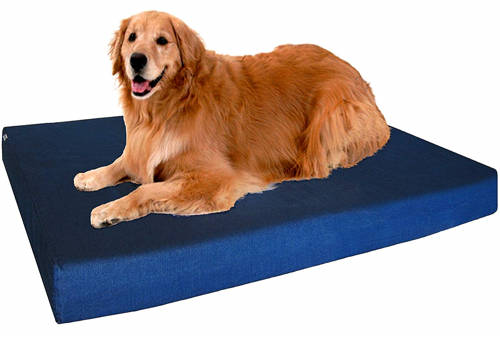 dogbed4less review