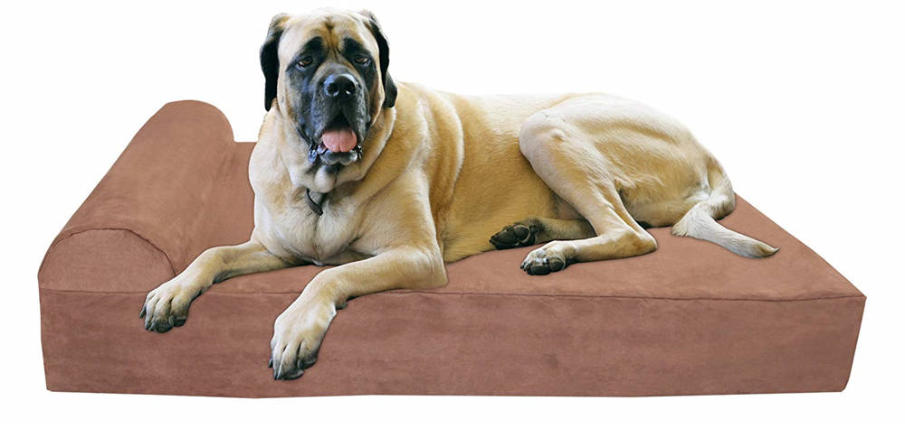 best dog bed for older dogs