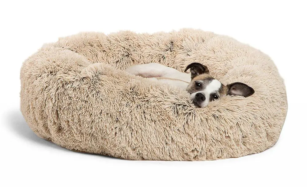 best dog bed for dogs that love to fluff their bed