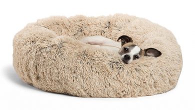 best dog bed for dogs that love to fluff their bed