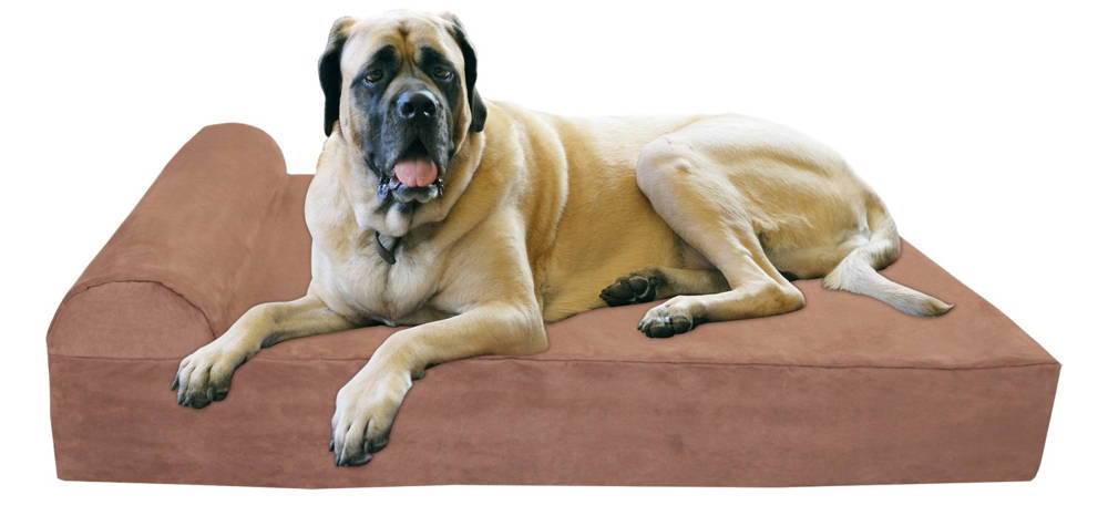 best dog bed for large dogs