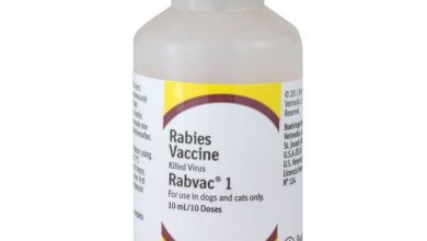 how much are dog rabies shots