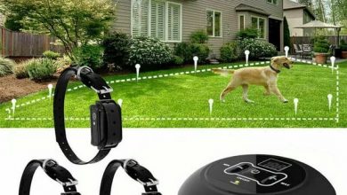 how much for electric dog fence