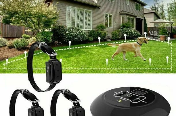 how much for electric dog fence