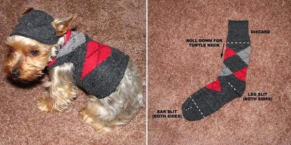 how to make dog jumper