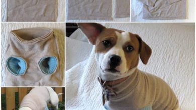 how to make easy dog clothes