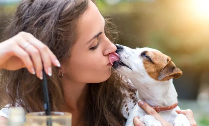 what do dog kisses mean