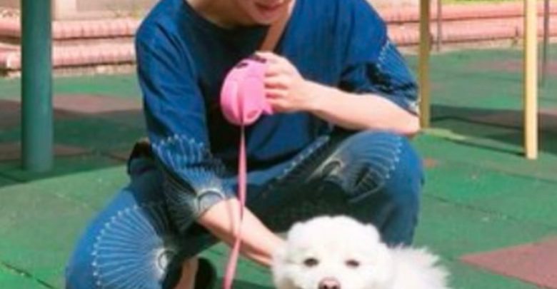 what kind of dog does rm have