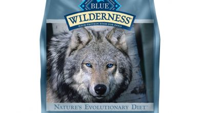 what stores sell blue wilderness dog food