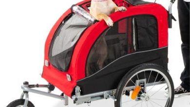 what stores sell dog strollers
