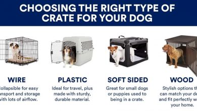 when to buy puppy crate