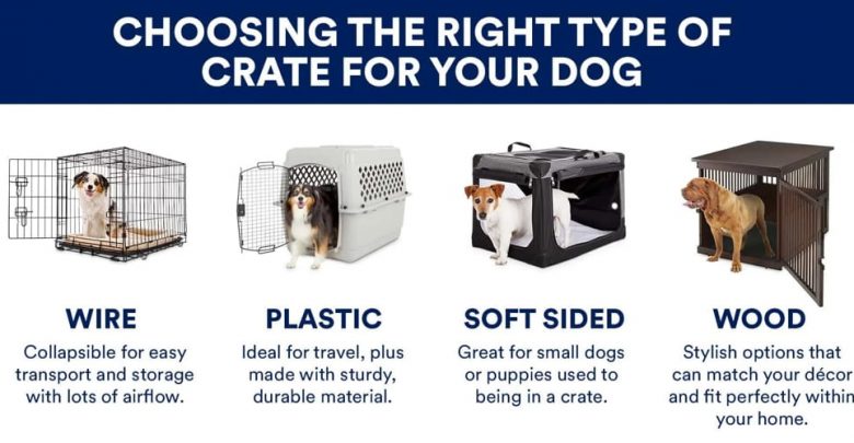 when to buy puppy crate