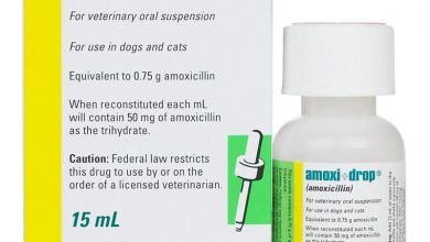 where can i get amoxicillin for dogs without vet prescription