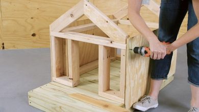 where to build dog house