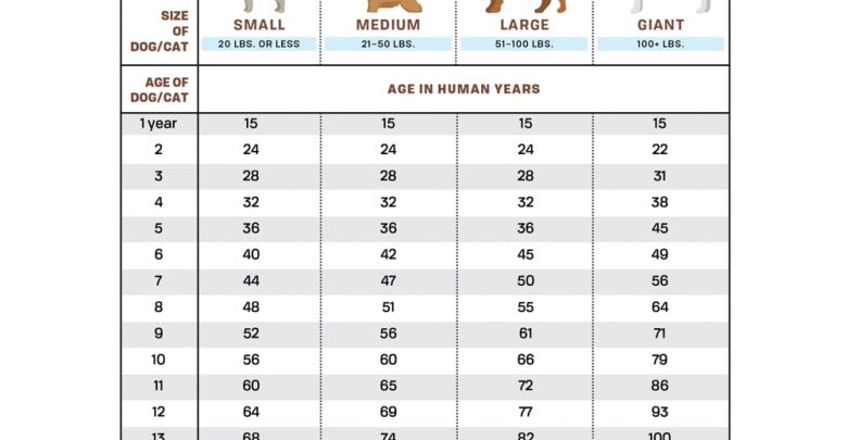 how much dog years is one human year