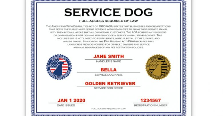 how to get dog certified as service animal