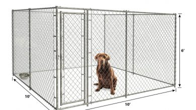 what stores sell dog kennels