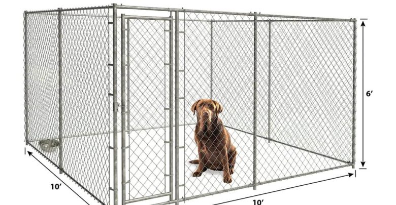 what stores sell dog kennels