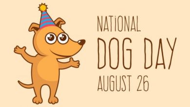 when is dog day