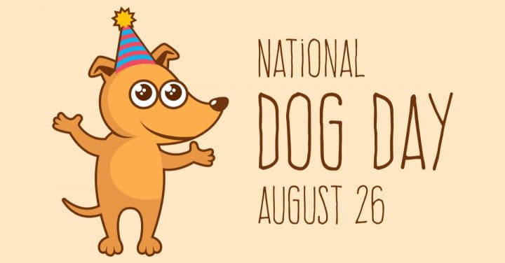 when is dog day