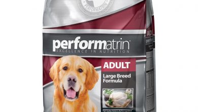where to buy performatrin dog food