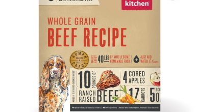 who sells the honest kitchen dog food