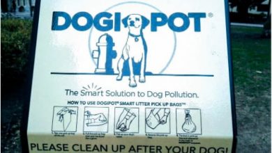 why don't dog owners pick up poop