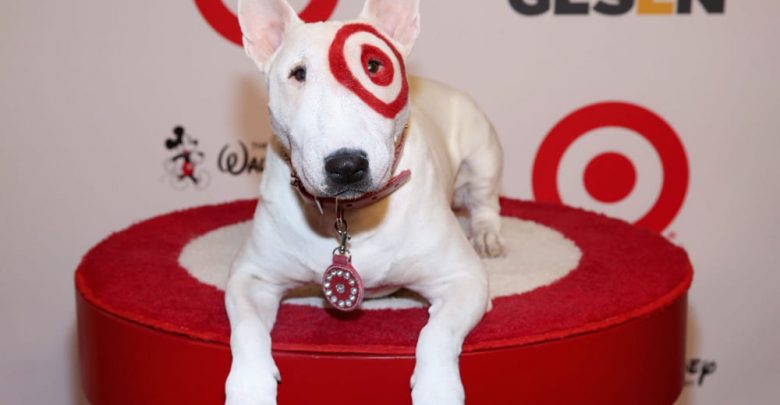can dogs enter target