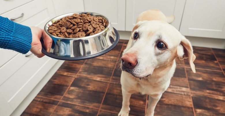does quality dog food make a difference