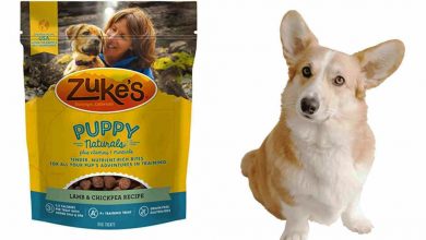 has zukes dog treats been recalled