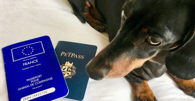 how much for dog passport