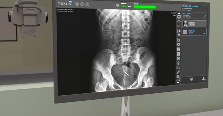 how much is dog x ray in philippines