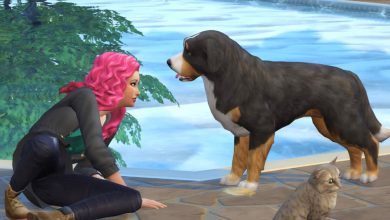 how to get dog on sims 4