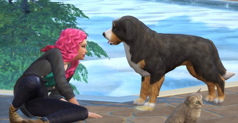 how to get dog on sims 4
