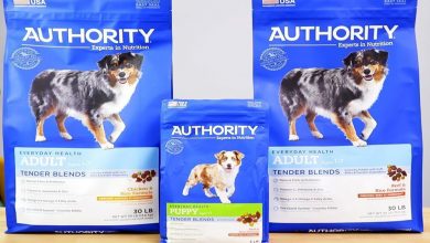 what stores sell authority dog food