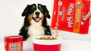 what stores sell stella and chewy dog food