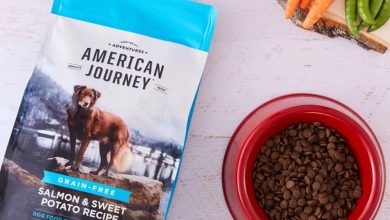 where can i buy american journey dog food
