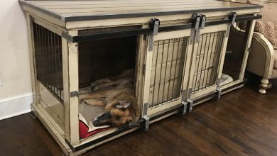 where can i buy dog kennel