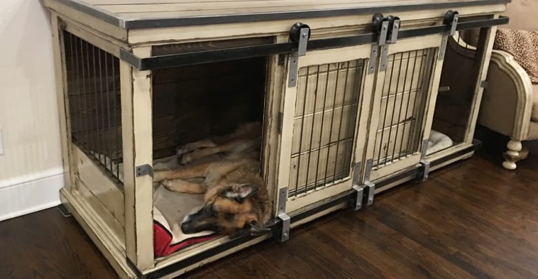 where can i buy dog kennel