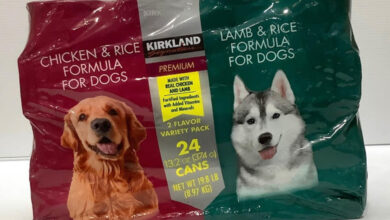 how is kirkland dog food