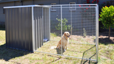 how much are dog enclosures