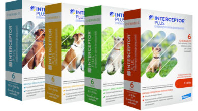 how much is dog dewormer