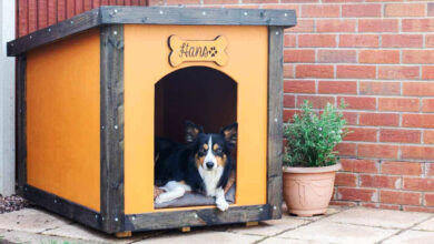 how to make an easy dog kennel