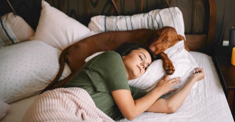 should your dog sleep in your room